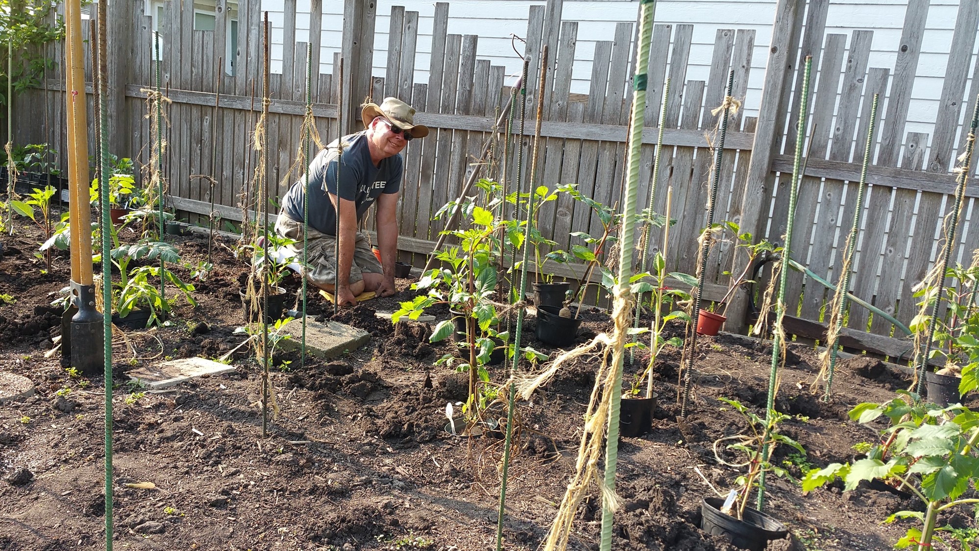 Mike plants dahlias 2