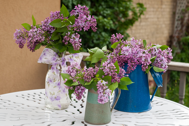 Garden Bloggers’ Bloom Day – Share Those Lilac Blooms « Oh What A ...