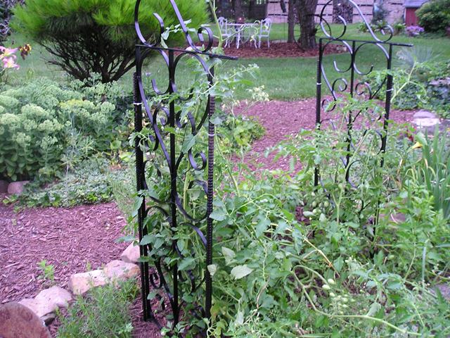 Tomato cage