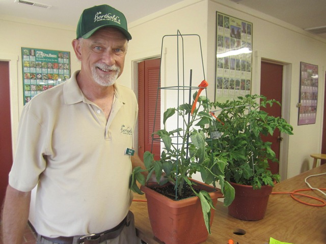 Wally and tomatoes
