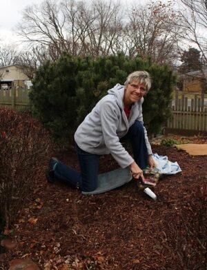 Carol plants bulbs on Dec 27 web 300 IMG_6028