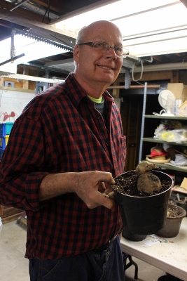 Mikes first potting of a dahlia this season IMG_7337 (267x400)