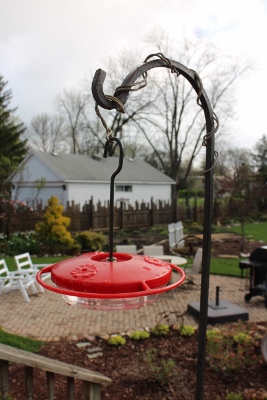 Hummingbird feeder IMG_7549 (267x400)
